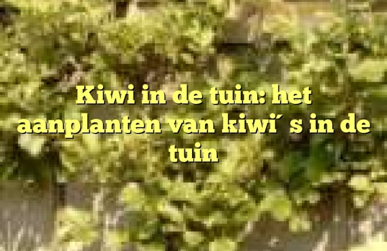 Kiwi in de tuin: het aanplanten van kiwi´s in de tuin